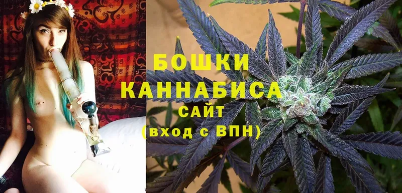 Марихуана SATIVA & INDICA  Алейск 